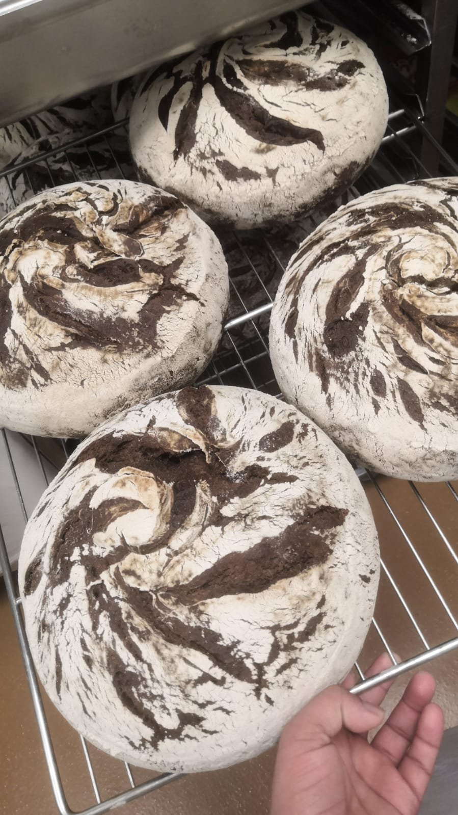 Round flour-dusted artisan loaves with scored tops